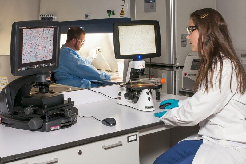 happy relationship, two people in scientist lab happy relationship, two people in scientist lab